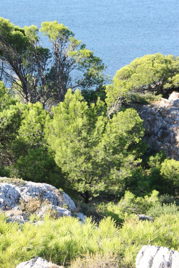 La Maison Narbonnaise Narbonne Ngoại thất bức ảnh